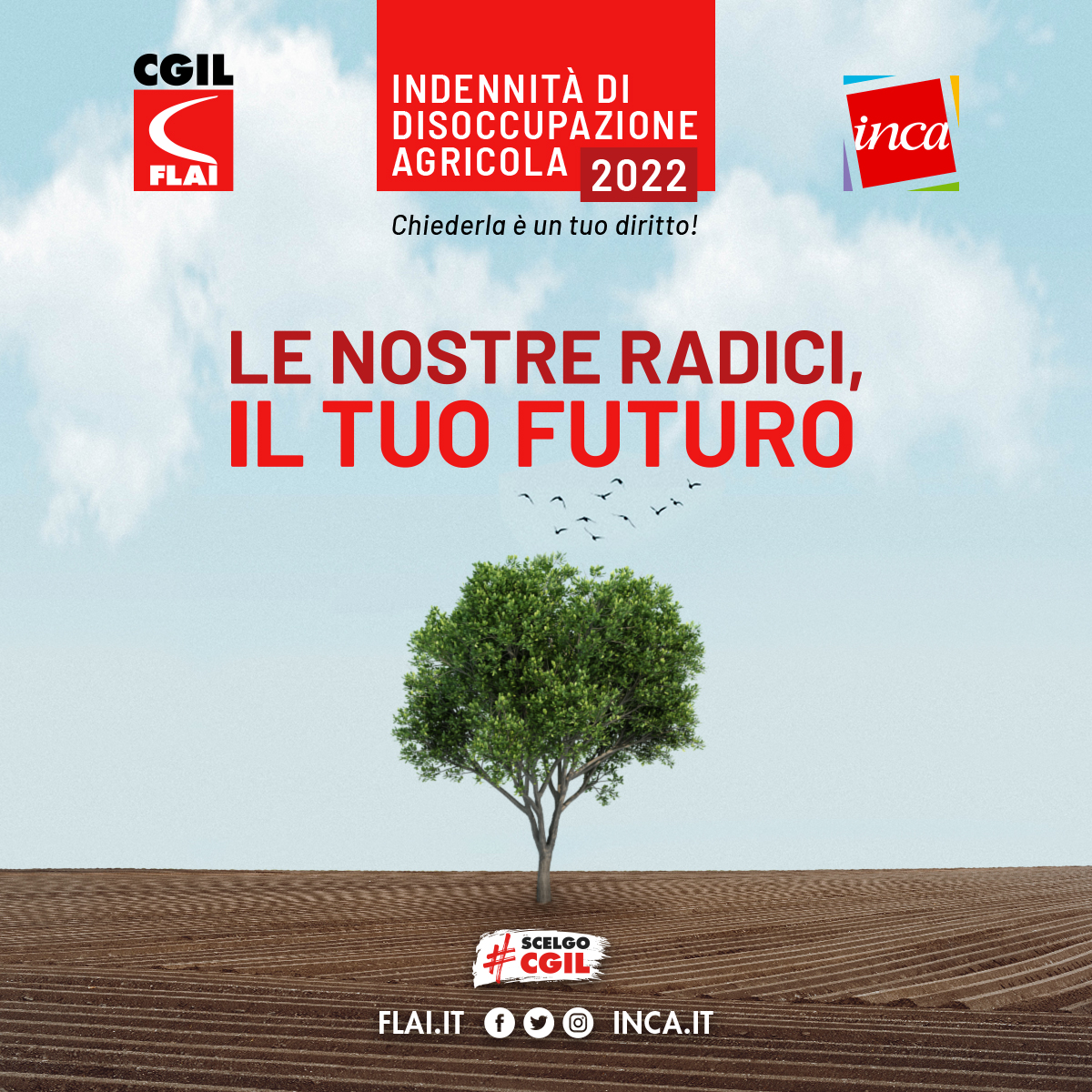 INDENNITA' DI DISOCCUPAZIONE AGRICOLA 2022:  DOMANDE ENTRO IL 31 MARZO