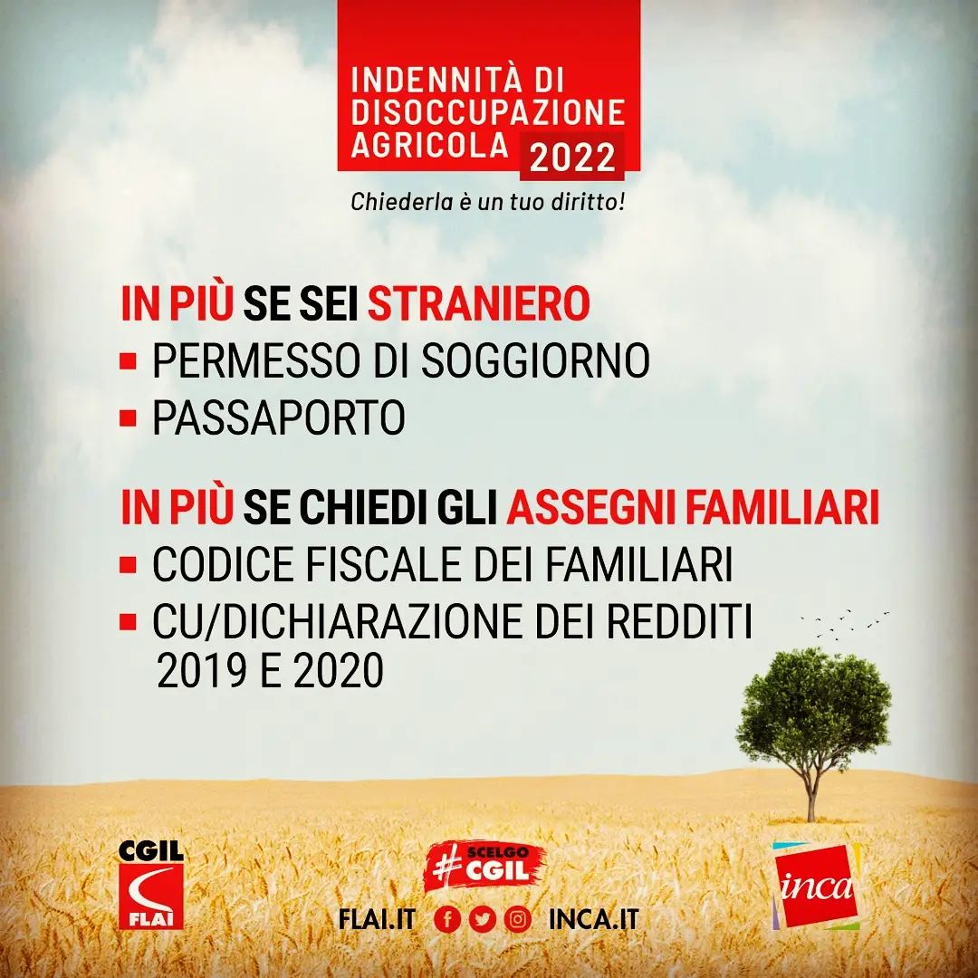 DISOCCUPAZIONE AGRICOLA 5