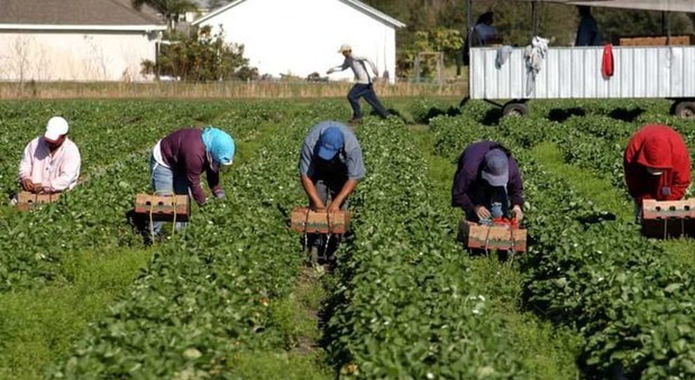 SANATORIA DOMESTICI E AGRICOLI 2020: In Umbria #incavince