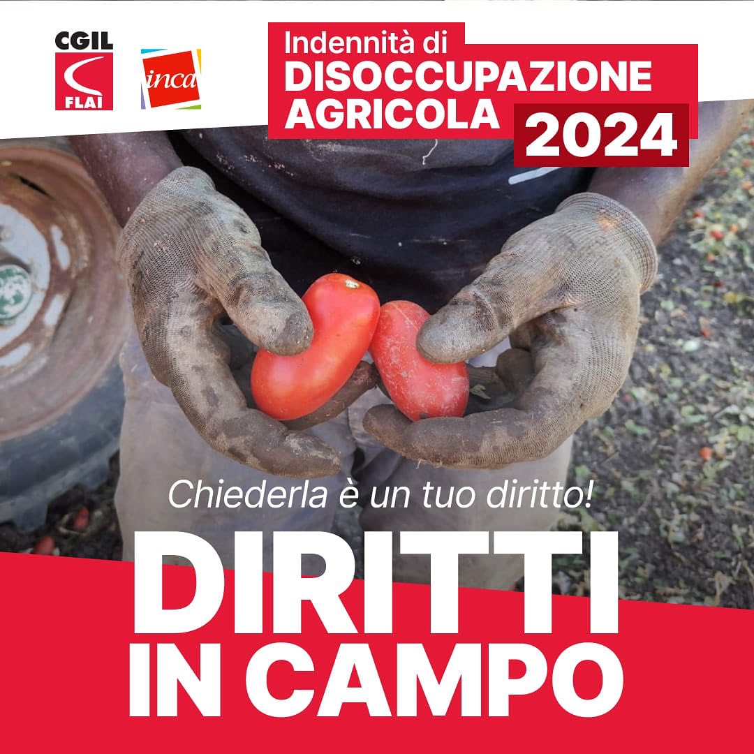 2023 10 DS AGRICOLA 1