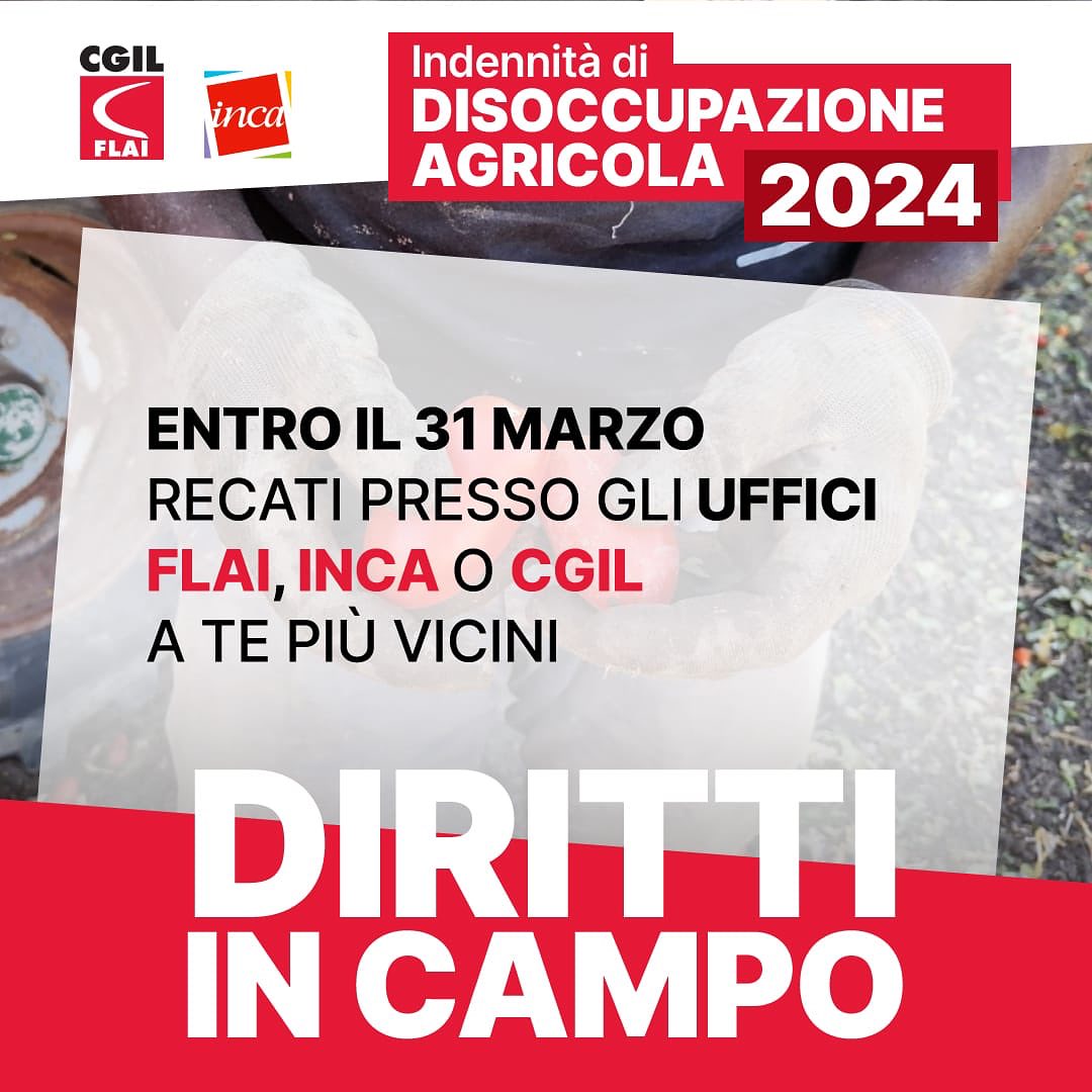 2023 10 DS AGRICOLA 3