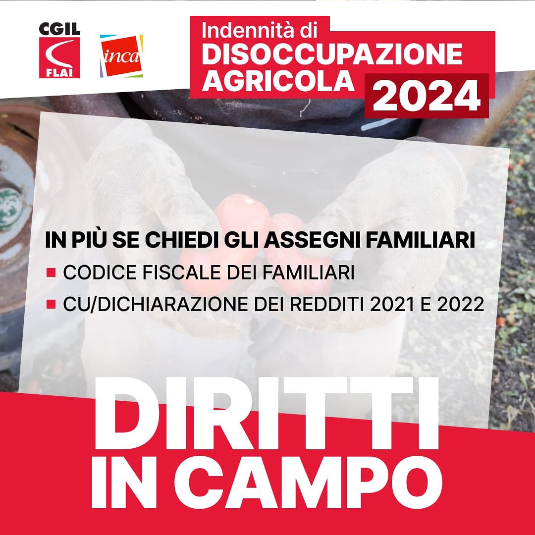2023 10 DS AGRICOLA 5