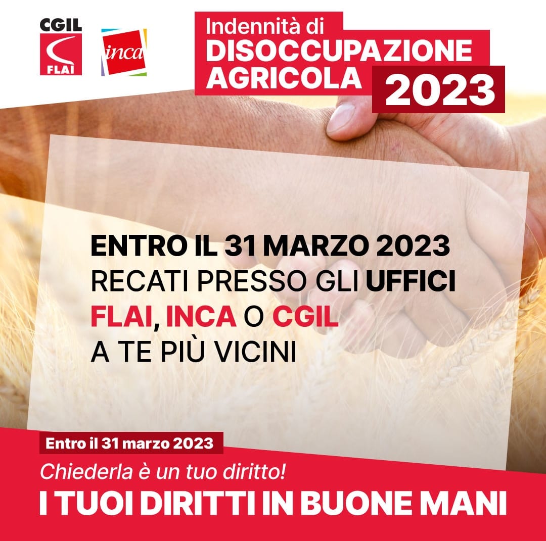 2023 DS AGRICOLA 3