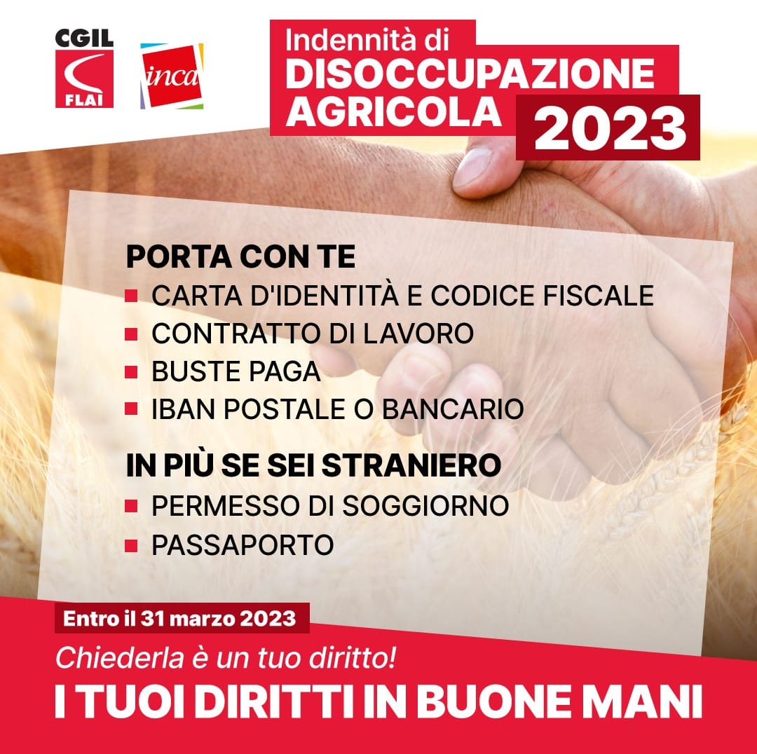 2023 DS AGRICOLA 4