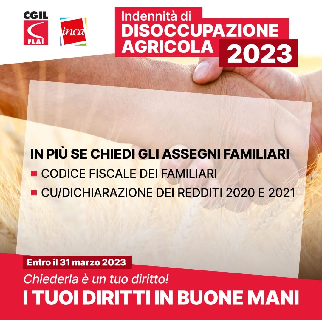 2023 DS AGRICOLA 5