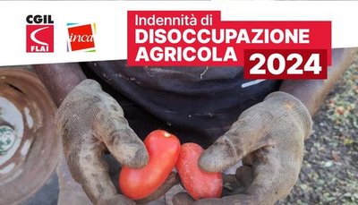 INDENNITA' DI DISOCCUPAZIONE AGRICOLA 2024