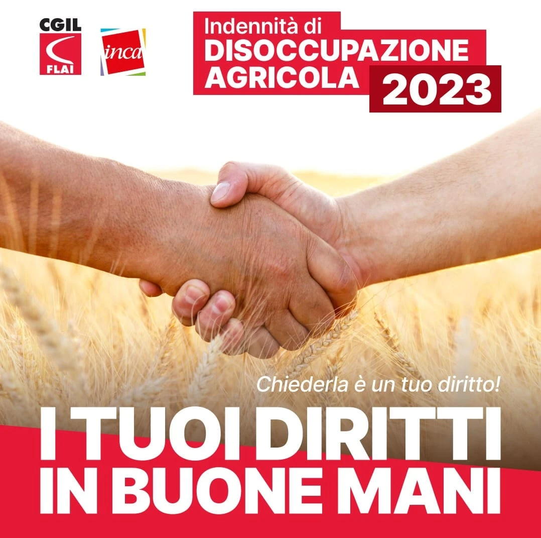 2023 DS AGRICOLA 1