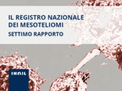 VII rapporto Renam